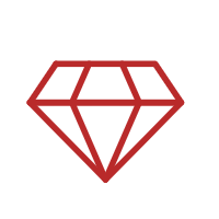 PNWLS Luxury Fleet and Premier Diamon Red